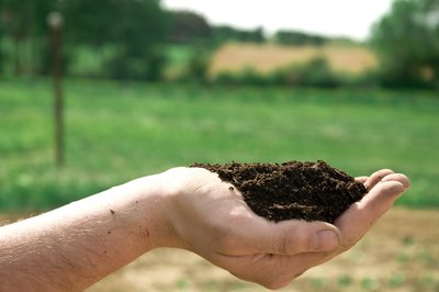 Jupiterimages/Photos.com/Getty Images Soils high in organic material tend to provide better drainage.