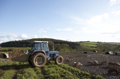 BananaStock/BananaStock/Getty Images Community-supported agriculture is an example of a recurring-revenue business model.