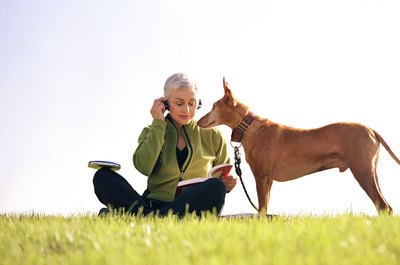 Brand X Pictures/Brand X Pictures/Getty Images Companion dogs can be a great comfort to an older person and at the same time offer a bit protection.