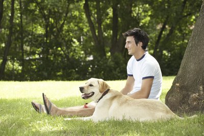 Jupiterimages/Photos.com/Getty Images Supervise your pooch around any mulch so he doesn't eat it.