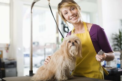 Jupiterimages/Brand X Pictures/Getty Images A badly matted dog is probably best left for a professional to de-matt.