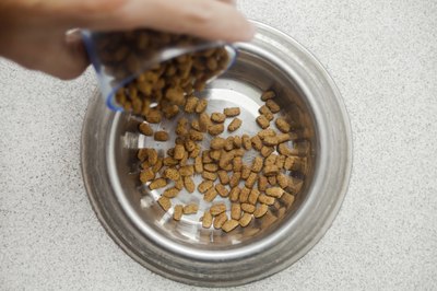 Diy Homemade Dog Feeders Pets