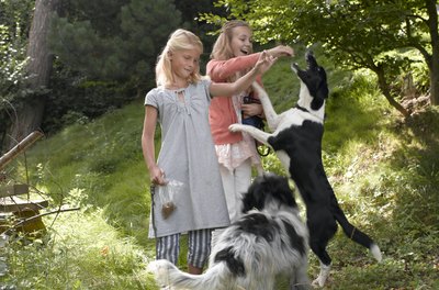 Liquorice/Lifesize/Getty Images Your dog will thank you for making peanut butter treats.