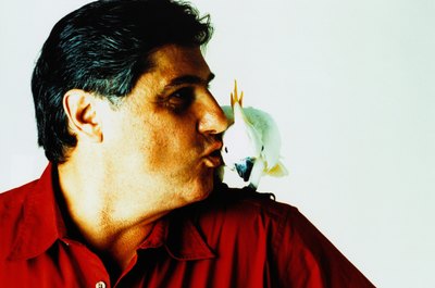 Ryan McVay/Photodisc/Getty Images Spending quality time with your cockatoo encourages bonding.
