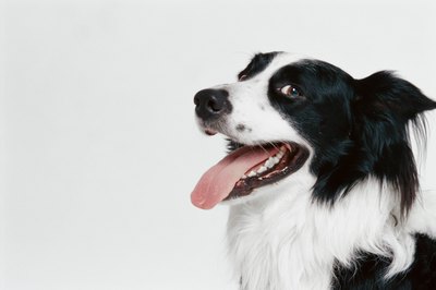George Doyle/Stockbyte/Getty Images A clean mouth is a healthy, comfortable mouth.