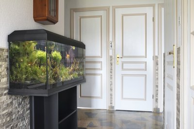 Grégory DUBUS/iStock/Getty Images You might need different light colors for aquarium plants.
