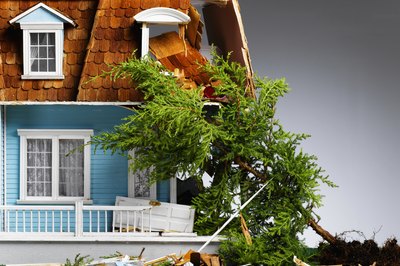 Jeffrey Hamilton/Lifesize/Getty Images Fallen trees can cause tension between neighbors.