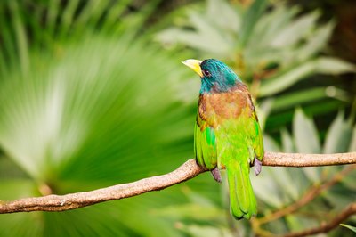 Juhku/iStock/Getty Images Who you callin' garish?