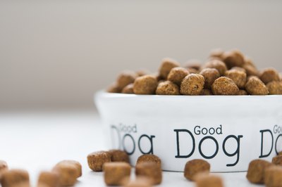 Indigo-stock/iStock/Getty Images Dogs require a balance of protein, carbohydrates and fats in order to stay healthy.
