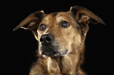 Ryan McVay/Digital Vision/Getty Images "Three meals a day is fine with me."