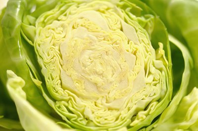Medioimages/Photodisc/Photodisc/Getty Images Nutrient-rich cabbage is the main component of sauerkraut.