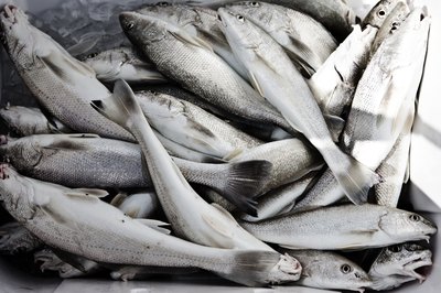 Jupiterimages/Photos.com/Getty Images Fish meal can be a healthy addition to your dog's food.