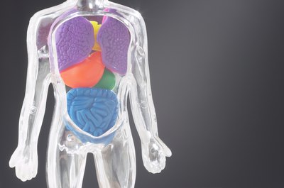 Hemera Technologies/AbleStock.com/Getty Images Enzymes are needed for digestion.