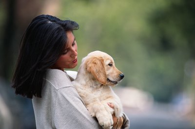David De Lossy/Valueline/Getty Images Not all puppies know that being held is a good thing.