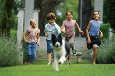 Stockbyte/Stockbyte/Getty Images A solid recall can stop your dog in his tracks.