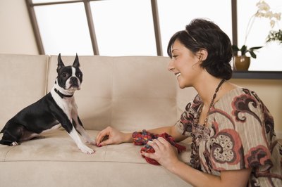 Jupiterimages/Comstock/Getty Images "Gesundheit, Mr. Tuxentails. Or should I say, 'tiehdnuseg'?"