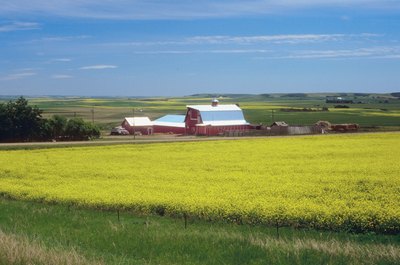 Jupiterimages/Photos.com/Getty Images Farmers frequently use contract-for-deed agreements to sell property.