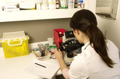 Dean Golja/Photodisc/Getty Images Your veterinarian will examine skin samples to determine the problem.