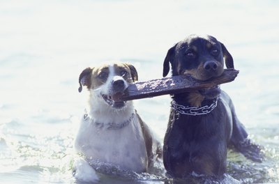 Ryan McVay/Digital Vision/Getty Images "We're like two peas in a pod."