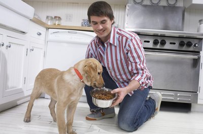 Digital Vision./Photodisc/Getty Images A dog food bowl raised to the proper height allows your pooch to eat without stooping or stretching.