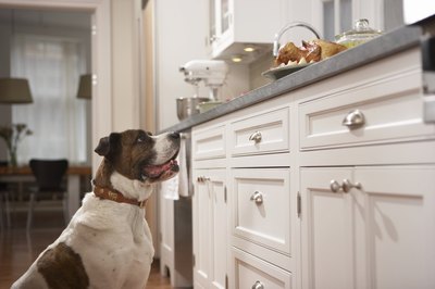 Chris Amaral/Digital Vision/Getty Images Boxers thrive on a natural diet, just as we do.