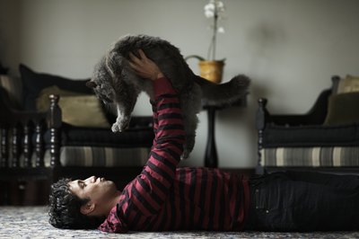 Thomas Northcut/Digital Vision/Getty Images Some cats like hugs more than others.