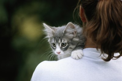 David De Lossy/Photodisc/Getty Images Even working with domesticated pets has its hazards.