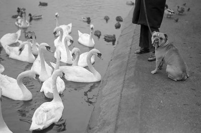 Fox Photos/Valueline/Getty Images We're buddies, but it's a cautionary tale.