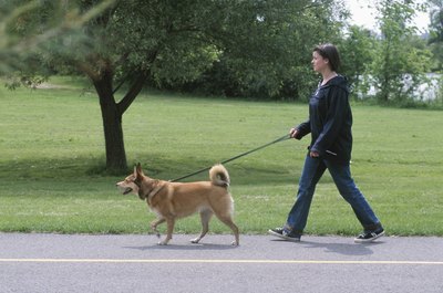 Hemera Technologies/AbleStock.com/Getty Images Grab a friend or a pet to make your walk even more enjoyable.
