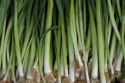 Hemera Technologies/AbleStock.com/Getty Images Scallions deliver many health benefits.