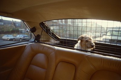 Jupiterimages/liquidlibrary/Getty Images A barrier may help your whining dog feel safe.