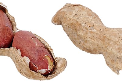 Zedcor Wholly Owned/PhotoObjects.net/Getty Images Cut calories by choosing boiled peanuts over dry-roasted varieties.