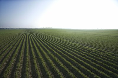 Jupiterimages/Comstock/Getty Images Agriculture offers a variety of opportunities for retail investors.