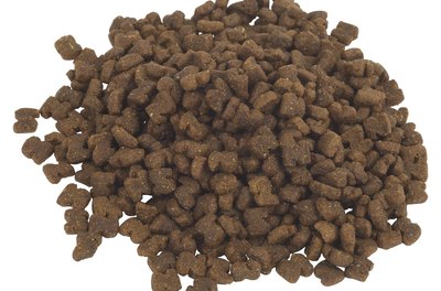 Hemera Technologies/PhotoObjects.net/Getty Images Keep your cat's food in a sealed container to keep out moisture and mold.