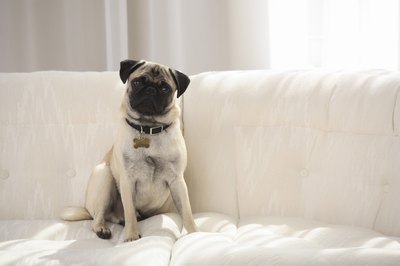 Jupiterimages/Brand X Pictures/Getty Images Reward your sweet girl with decadence dujour.