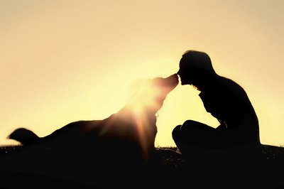 christingasner/iStock/Getty Images An intelligent dog obeys commands from his owner.