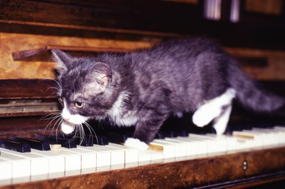 John Foxx/Stockbyte/Getty Images "I'll just try to make my own relaxing music."