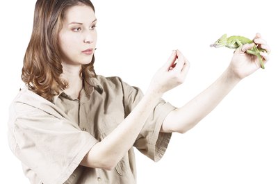 Hemera Technologies/PhotoObjects.net/Getty Images Zoologists need the skill set of a scientist and the observational skills of an experienced naturalist.