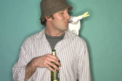 Digital Vision./Digital Vision/Getty Images Pellets, seeds and fruits are a winning combination for your cockatoo.