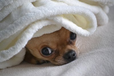 Rosanna-Parvez/iStock/Getty Images "Facial gone wrong today, please don't rub it in."