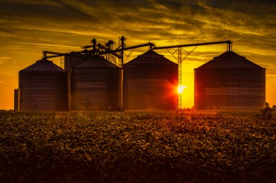 How to Understand Grain Market Prices