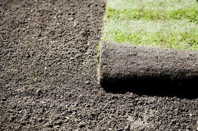 Sodding A Yard On Budget Budgeting Money
