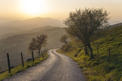 Does an Easement Affect the Value of Land?
