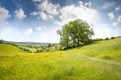Is Raw Land a Good Investment?