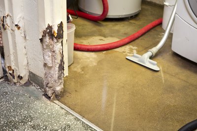 Tips on Estimating Water Damage Loss With Insurance Adjusters