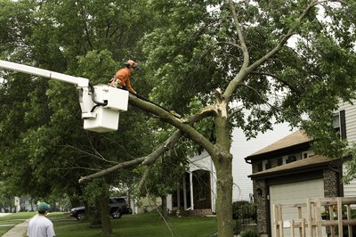 Will Insurance Cover Lightning That Struck My Tree and Caused Damage to My Fence?