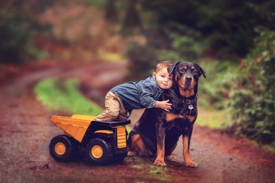 Do Rottweilers Raise Homeowner's Insurance?