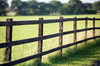 How to Find a Surveyor's Boundary Pin