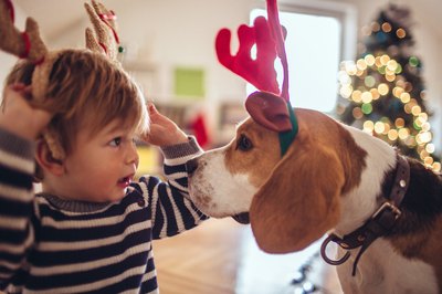 Stocks That Perform Well During the Christmas Period