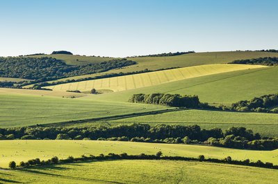 Description of the Closing Procedure When Purchasing Land